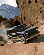 Ford Bronco II XLS 1984 года